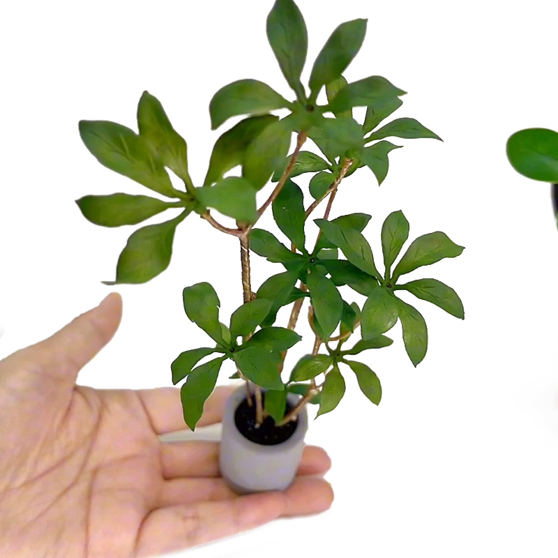 Bonsai Garden Ornaments - 1:6 Dollhouse Miniature Potted Plants Model