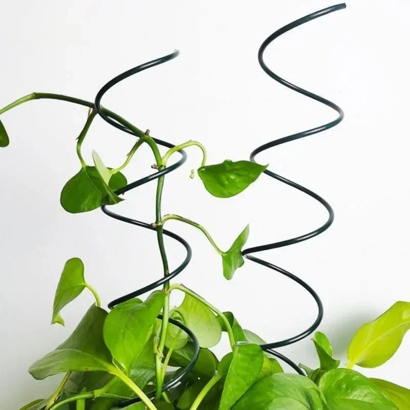 Climbing Plant Support Stake S - Bonsai Garden Stand review and price