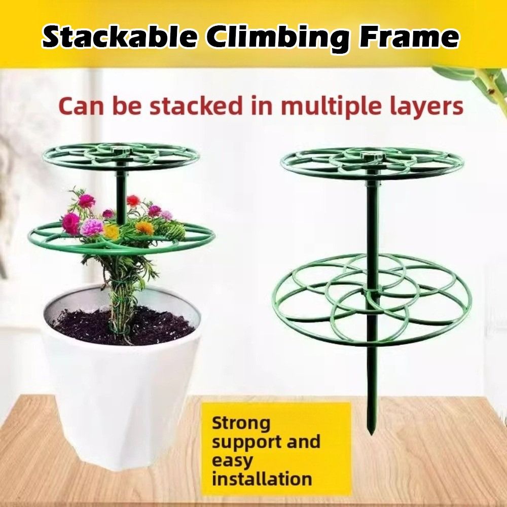 S/M/L Bonsai Climbing Frame Pl - Bonsai Garden Stand review and price