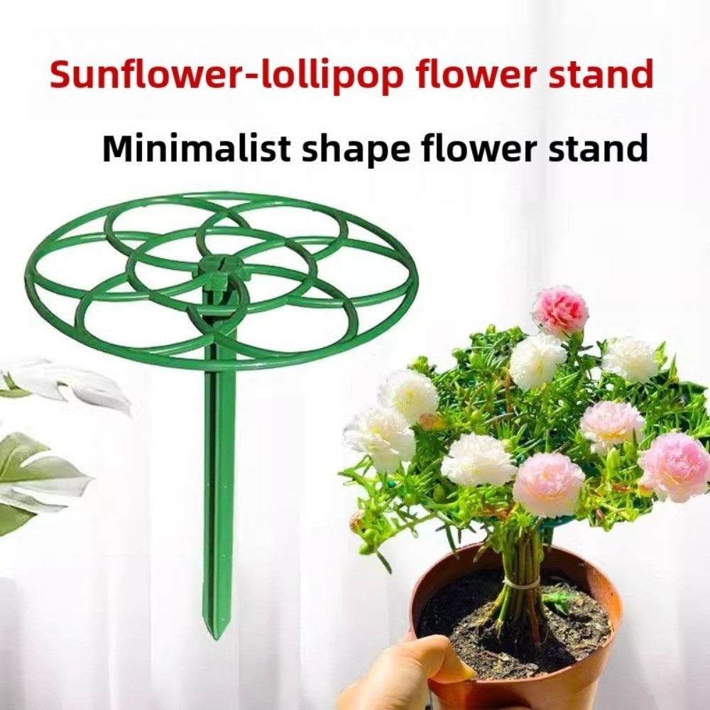 S/M/L Bonsai Climbing Frame Pl - Bonsai Garden Stand review and price