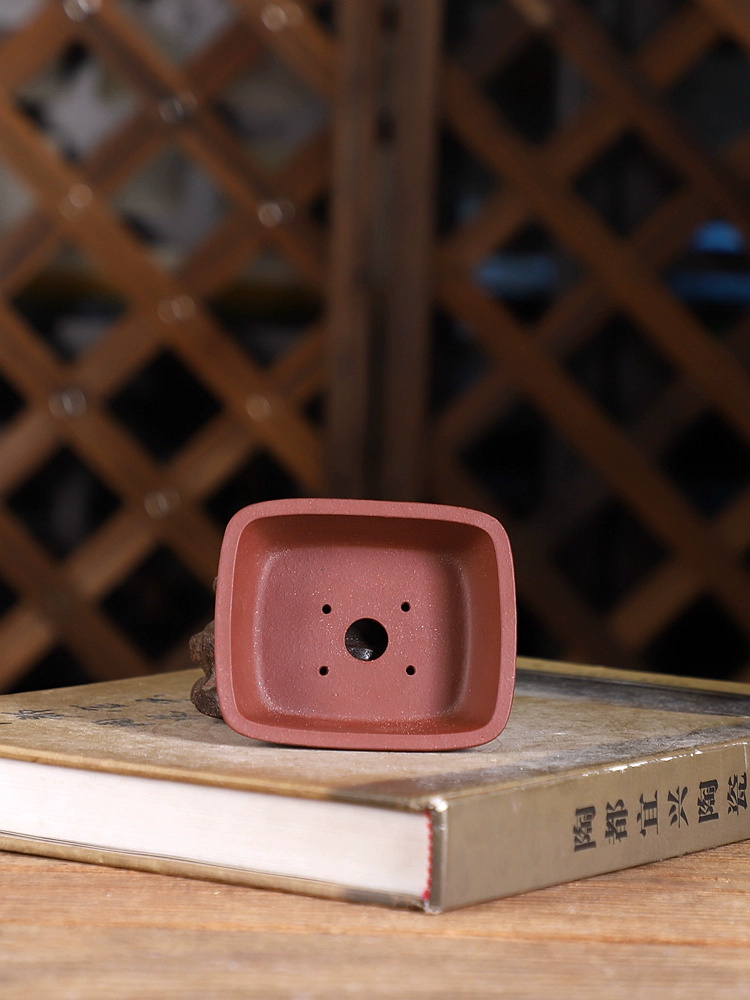 Purple Sand Round Angle Rectan - Bonsai Garden Chinese Garden review and price