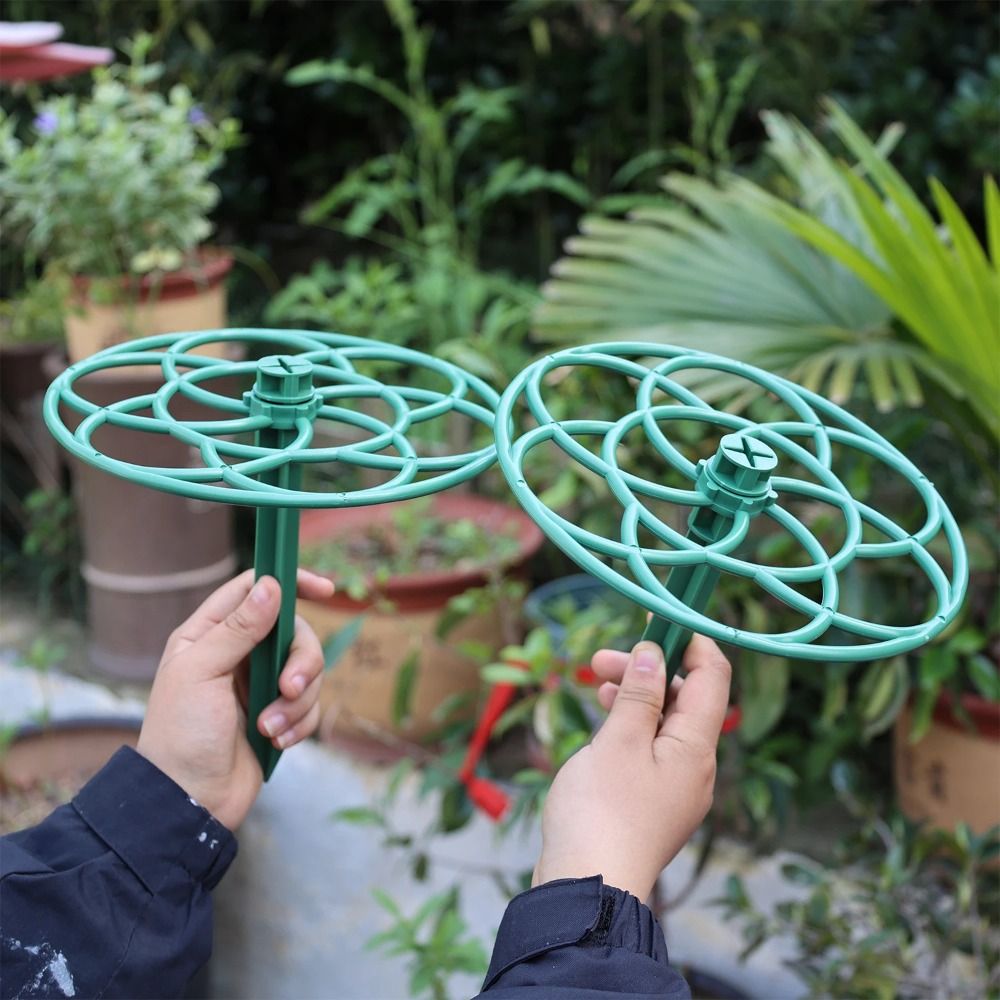 S/M/L Plastic Garden Stackable - Bonsai Garden Stand review and price