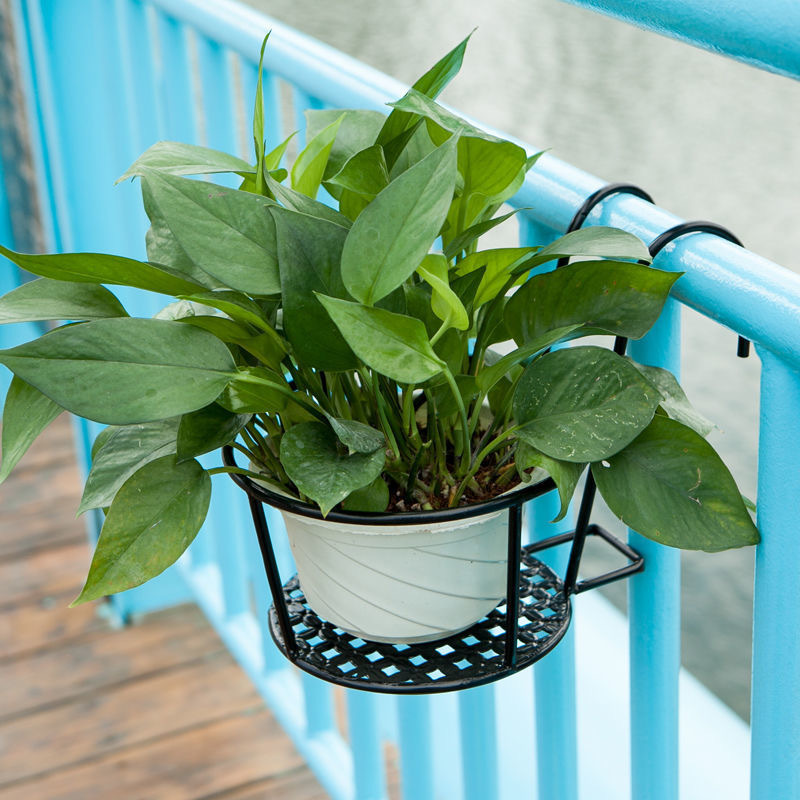 1PC Gardening Pots Outdoor Win - Bonsai Garden Stand review and price