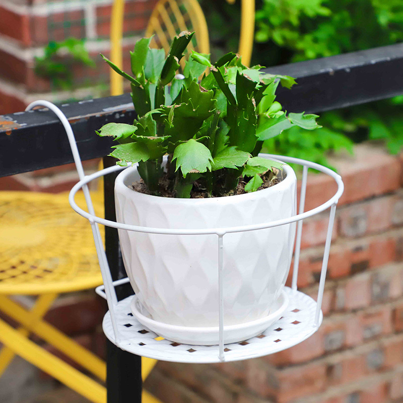 1PC Gardening Pots Outdoor Win - Bonsai Garden Stand review and price
