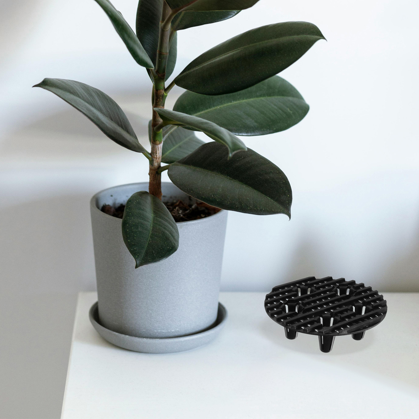 10Pcs Anti-Skid Plastic Pot Fe - Bonsai Garden Stand review and price