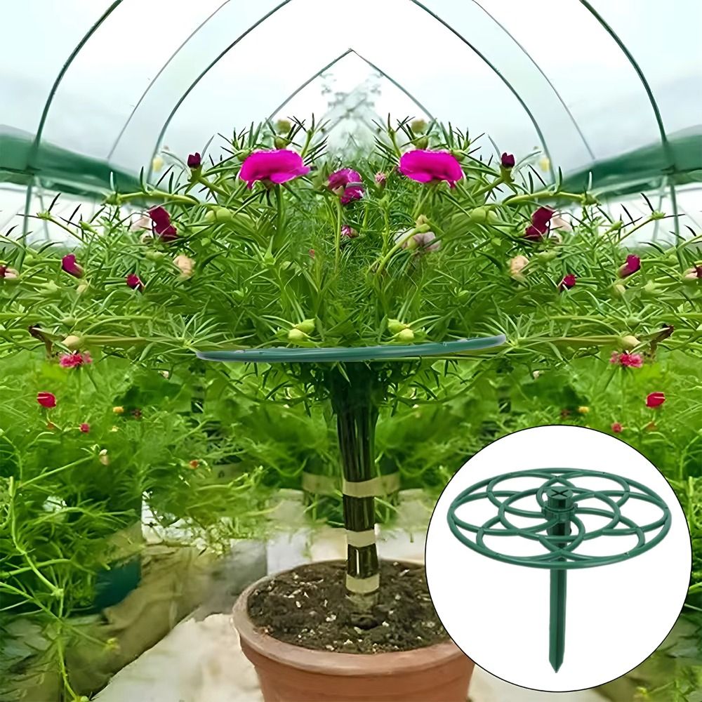 S/M/L Bonsai Climbing Frame Pl - Bonsai Garden Stand review and price