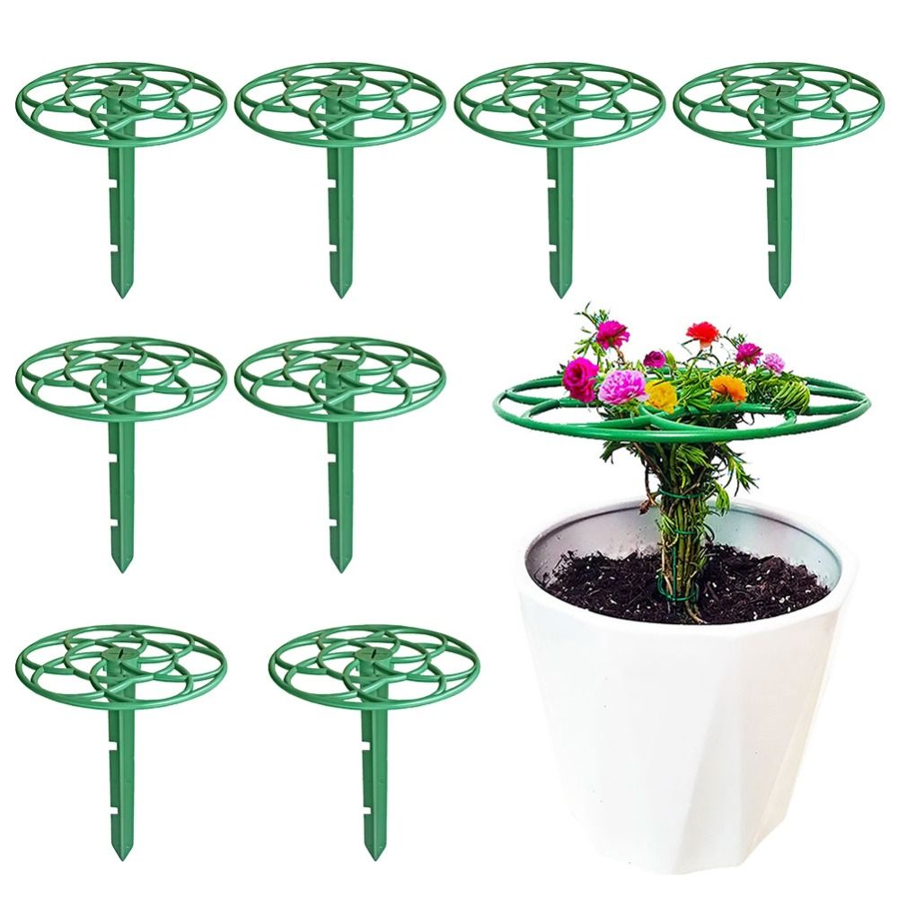 S/M/L Bonsai Climbing Frame Pl - Bonsai Garden Stand review and price