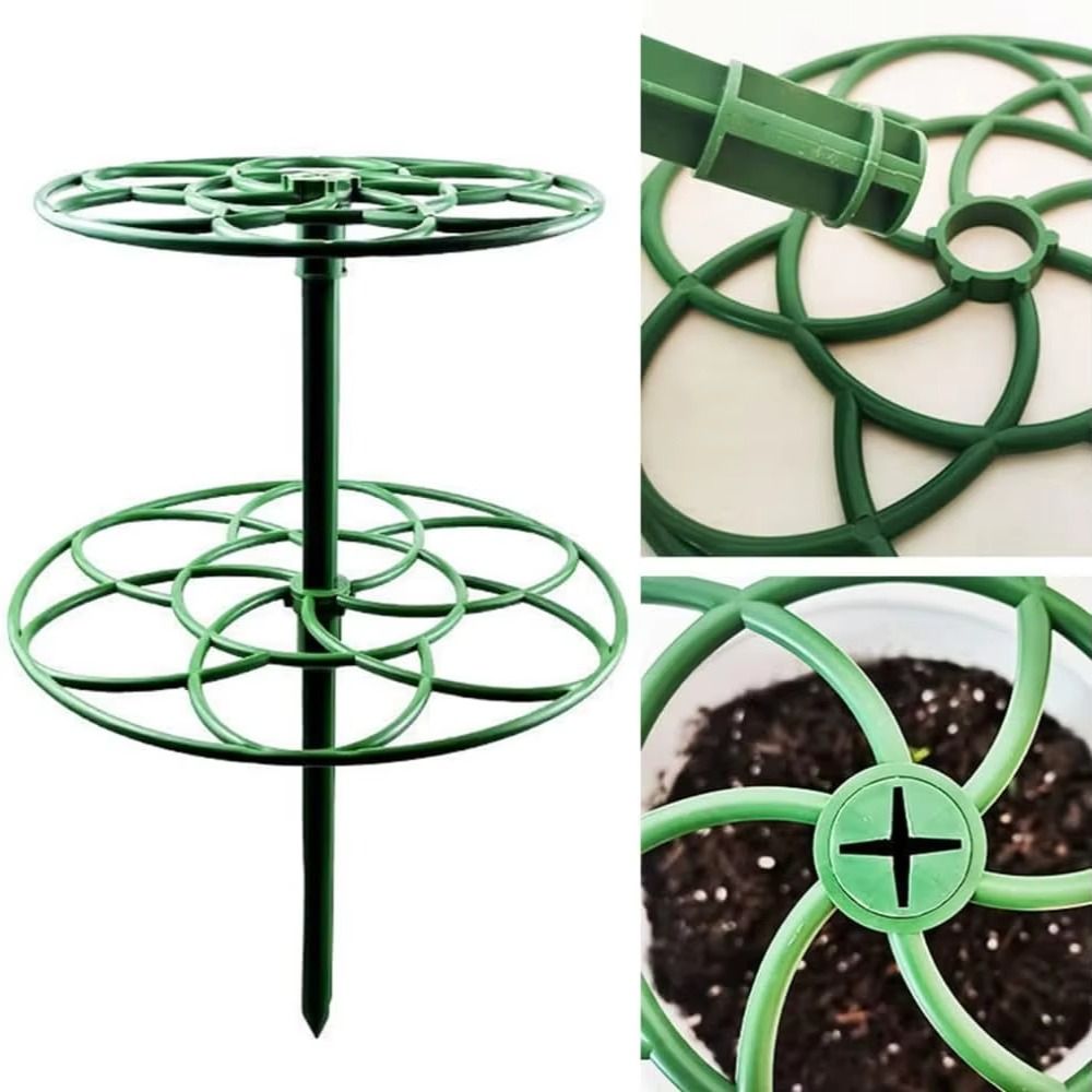 S/M/L Bonsai Climbing Frame Pl - Bonsai Garden Stand review and price