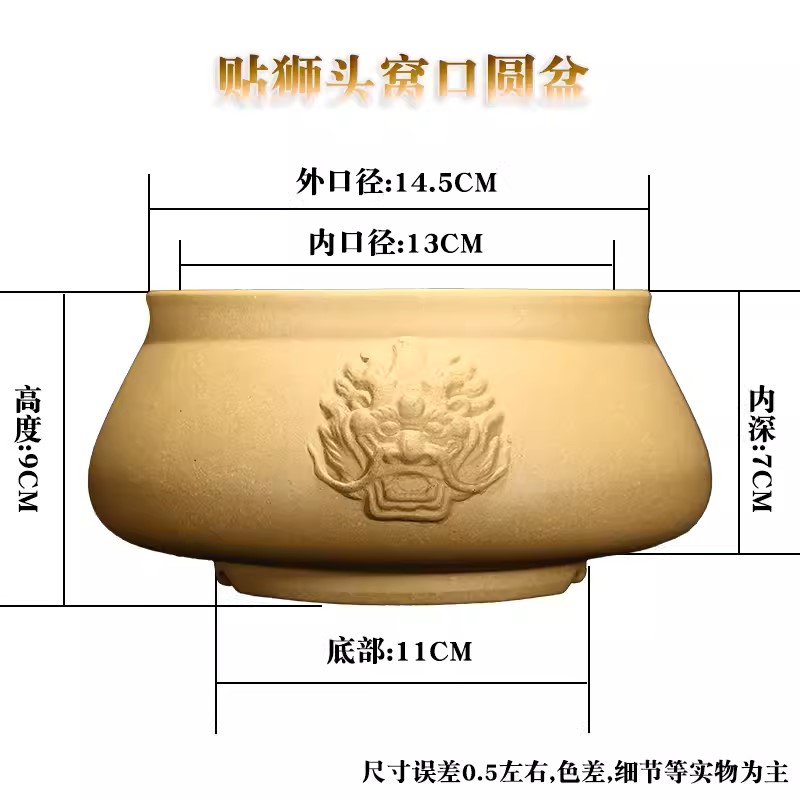 Round Circle Lion Head Bonsai  - Bonsai Garden For Desk review and price