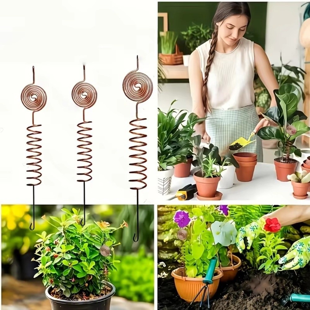 3PCS Copper Electroculture Pla - Bonsai Garden Stand review and price