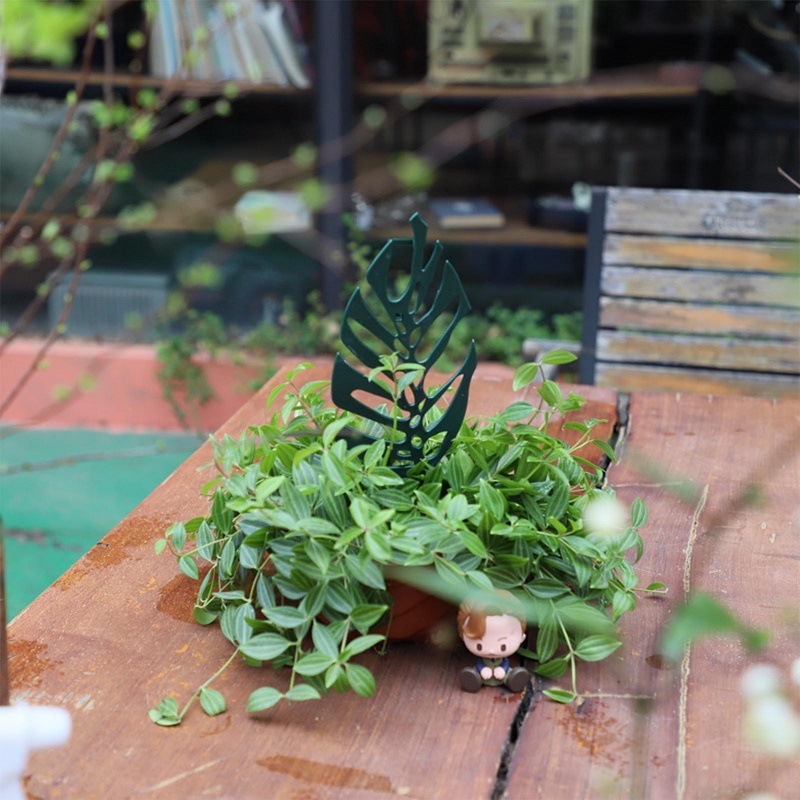 Plant Climbing Support Stand F - Bonsai Garden Stand review and price